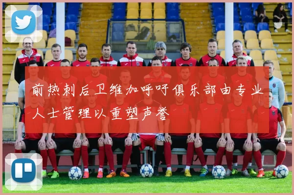 前热刺后卫维加呼吁俱乐部由专业人士管理以重塑声誉